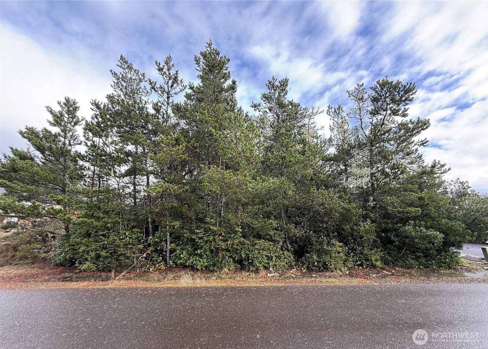 Ocean Shores, WA 98569,254 NE Olympic View Ave