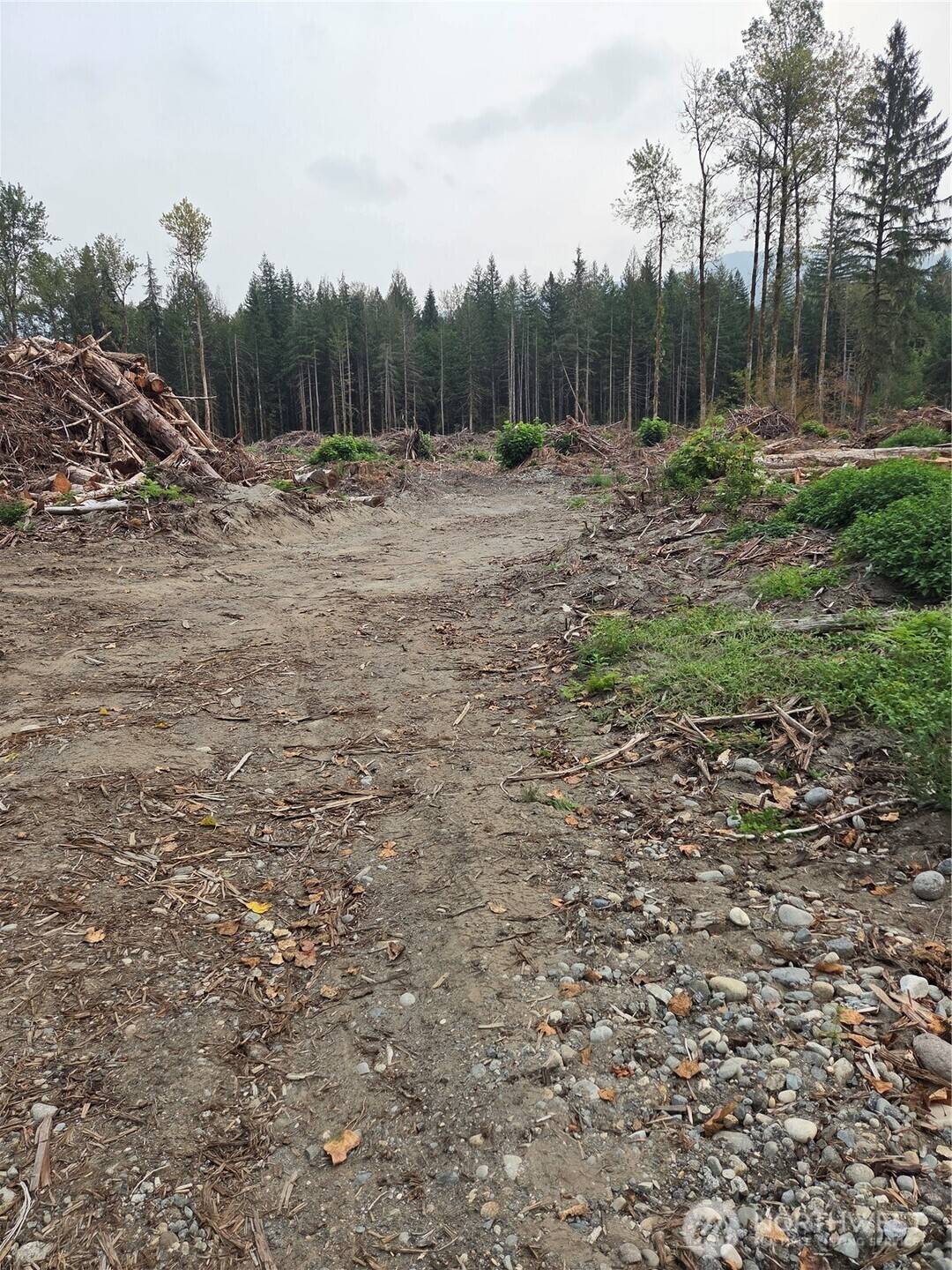 Darrington, WA 98241,22222 Zyman Road