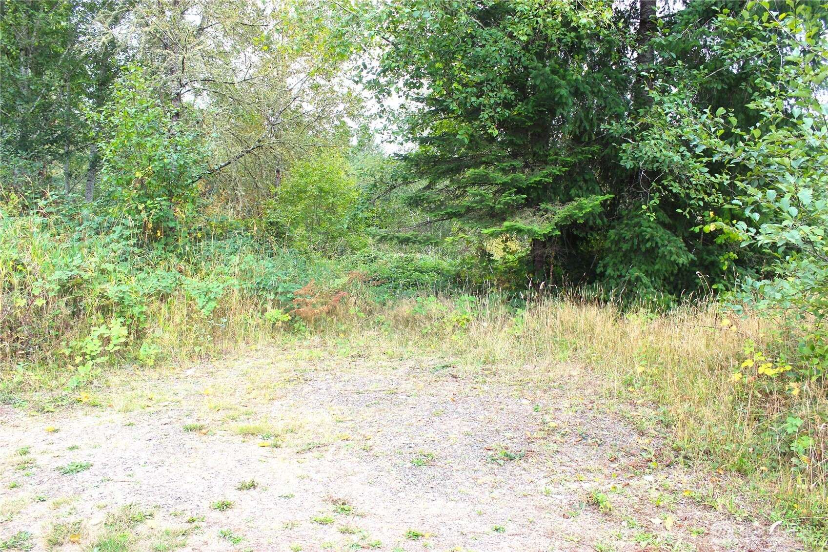 Oakville, WA 98568,22 Western LN