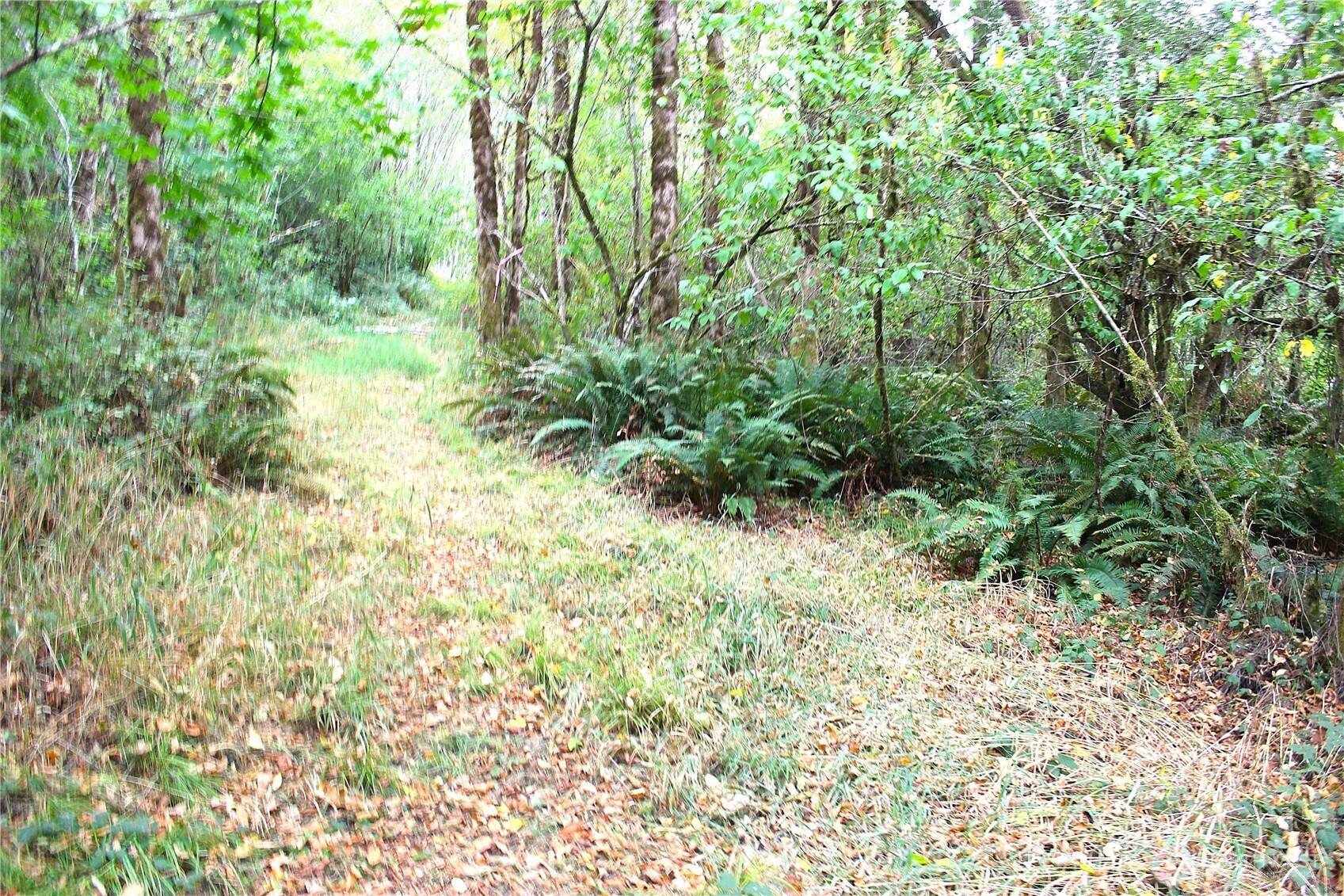 Oakville, WA 98568,22 Western LN