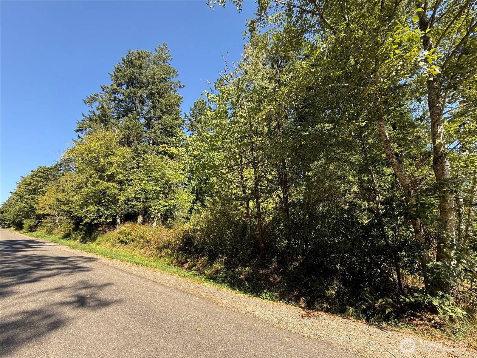 Port Orchard, WA 98366,0 SE Menzies RD