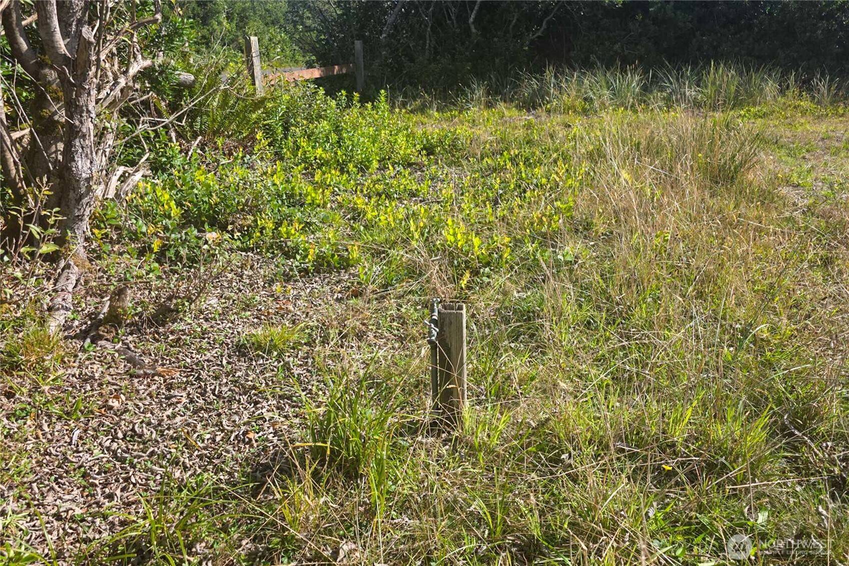 Ocean Shores, WA 98569,1040 Fairwood DR SW