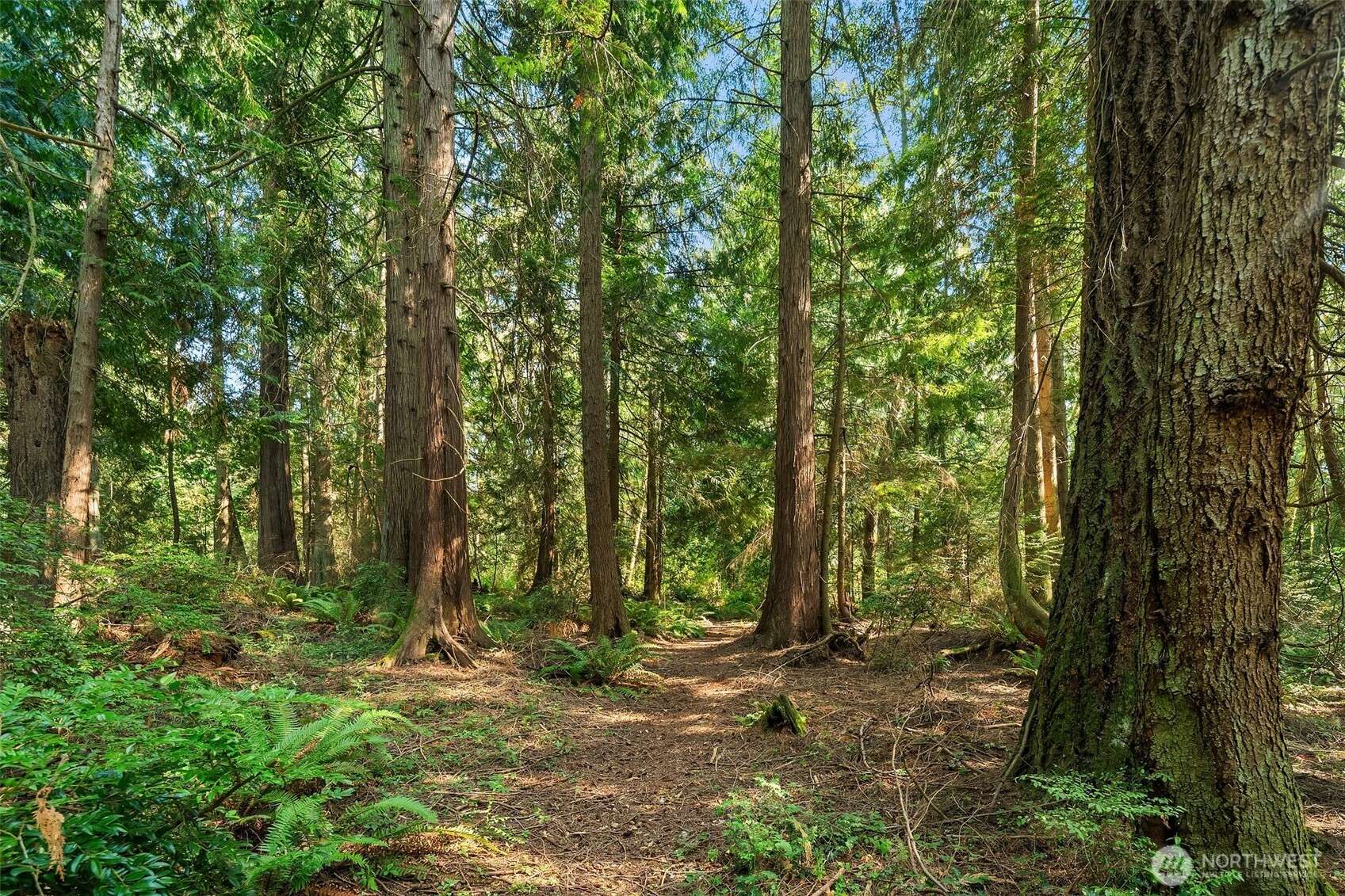 Vashon, WA 98070,16114 121st AVE SW