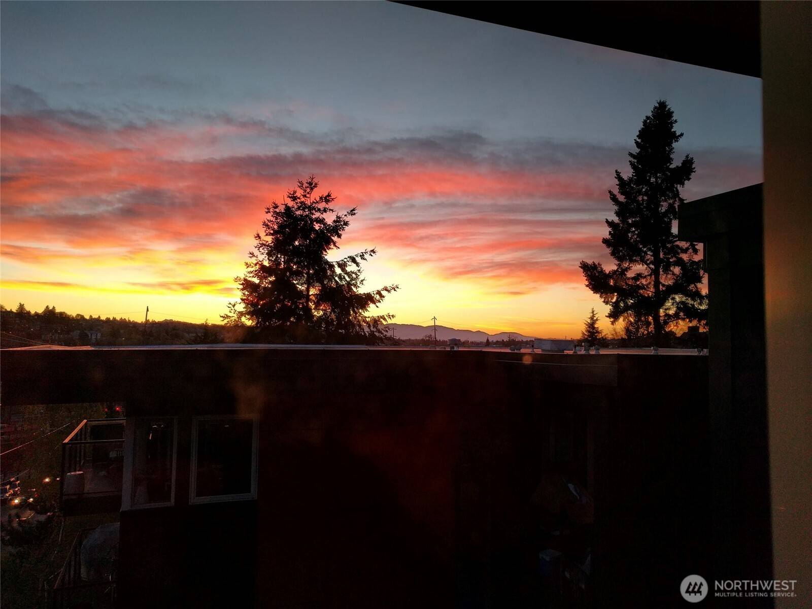 Seattle, WA 98107,120 NW 39th ST #407