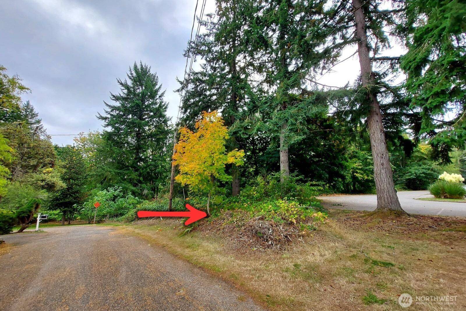 Port Orchard, WA 98366,0 Lot C Melcher St
