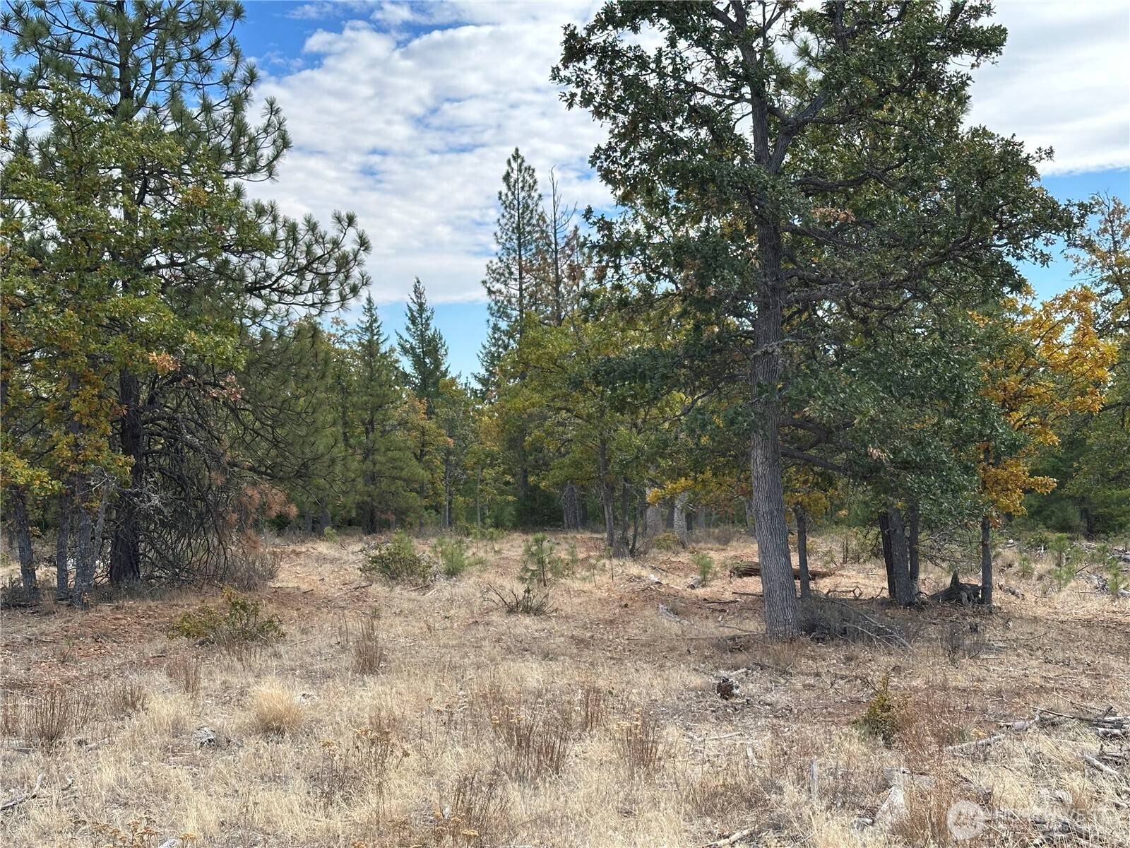 Goldendale, WA 98620,0 Highway 97