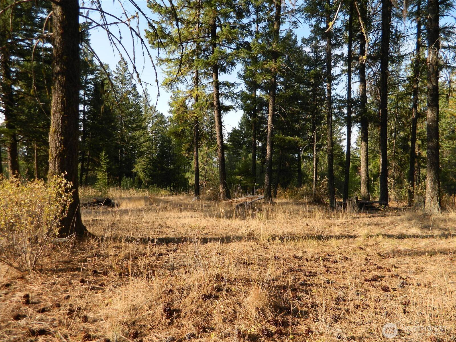 Tonasket, WA 98855,1111 TBD Rone RD