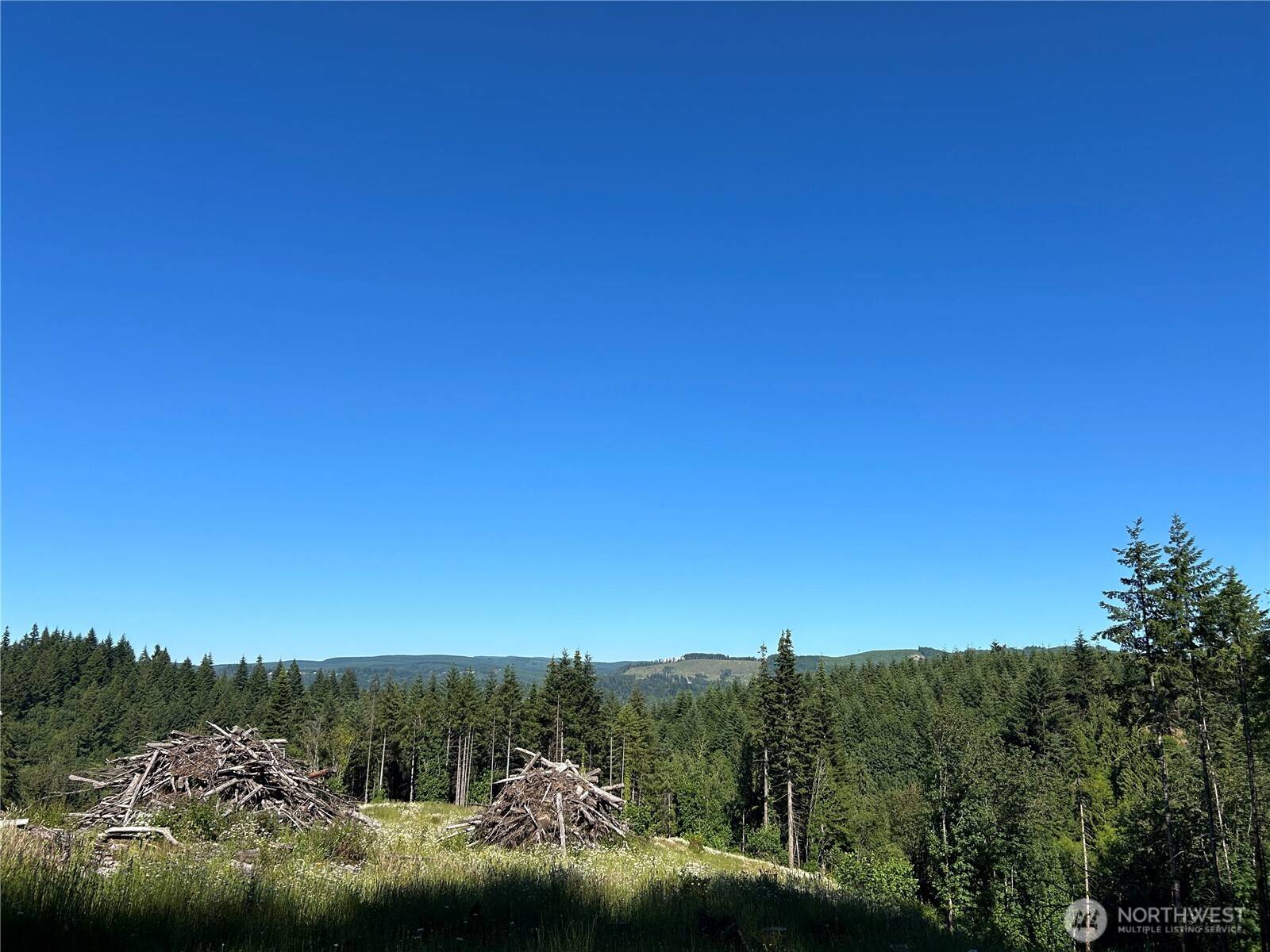 Kelso, WA 98626,125 Talkeetna Heights PL