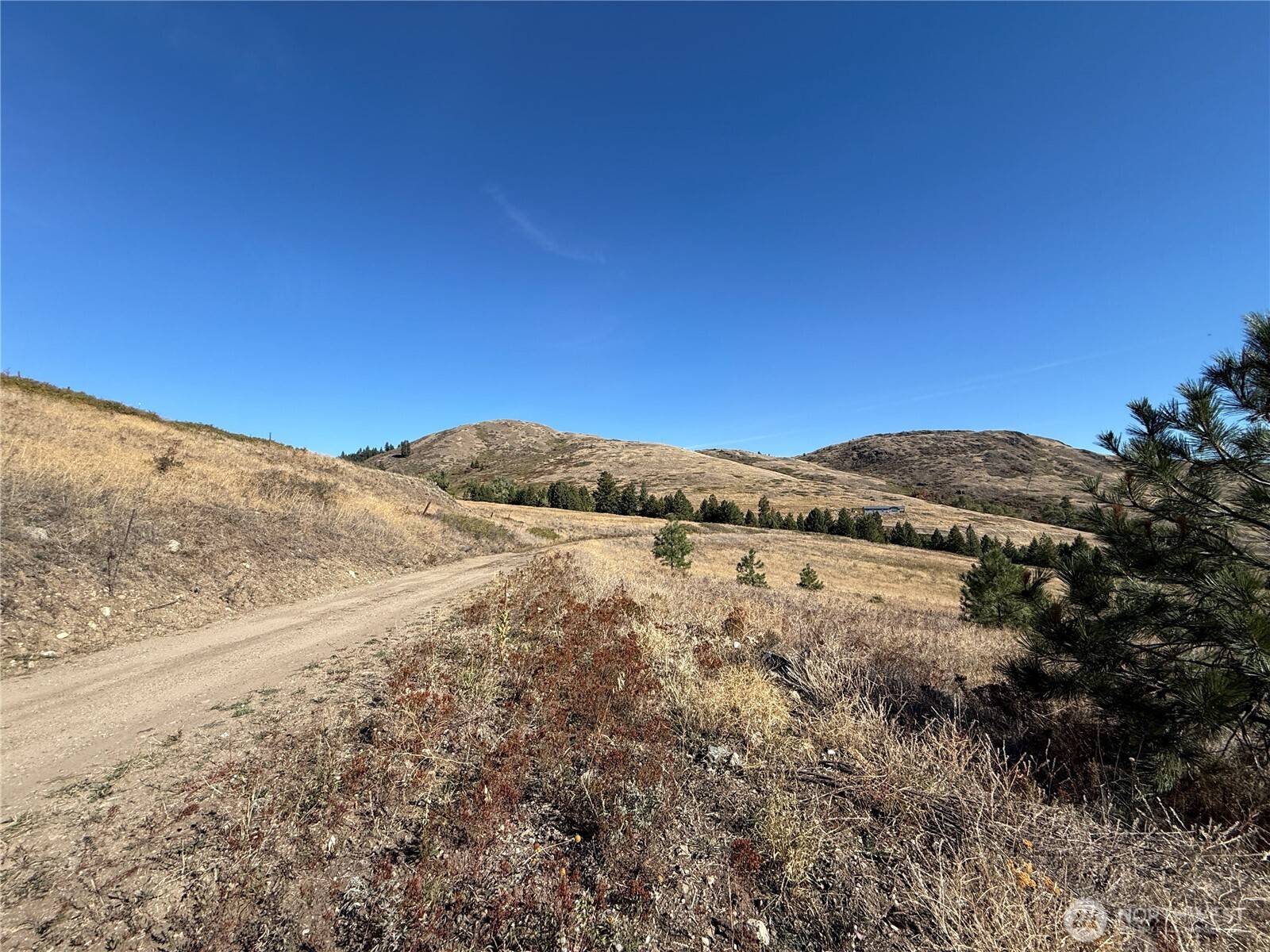 Curlew, WA 99118,0 Honeysuckle LN