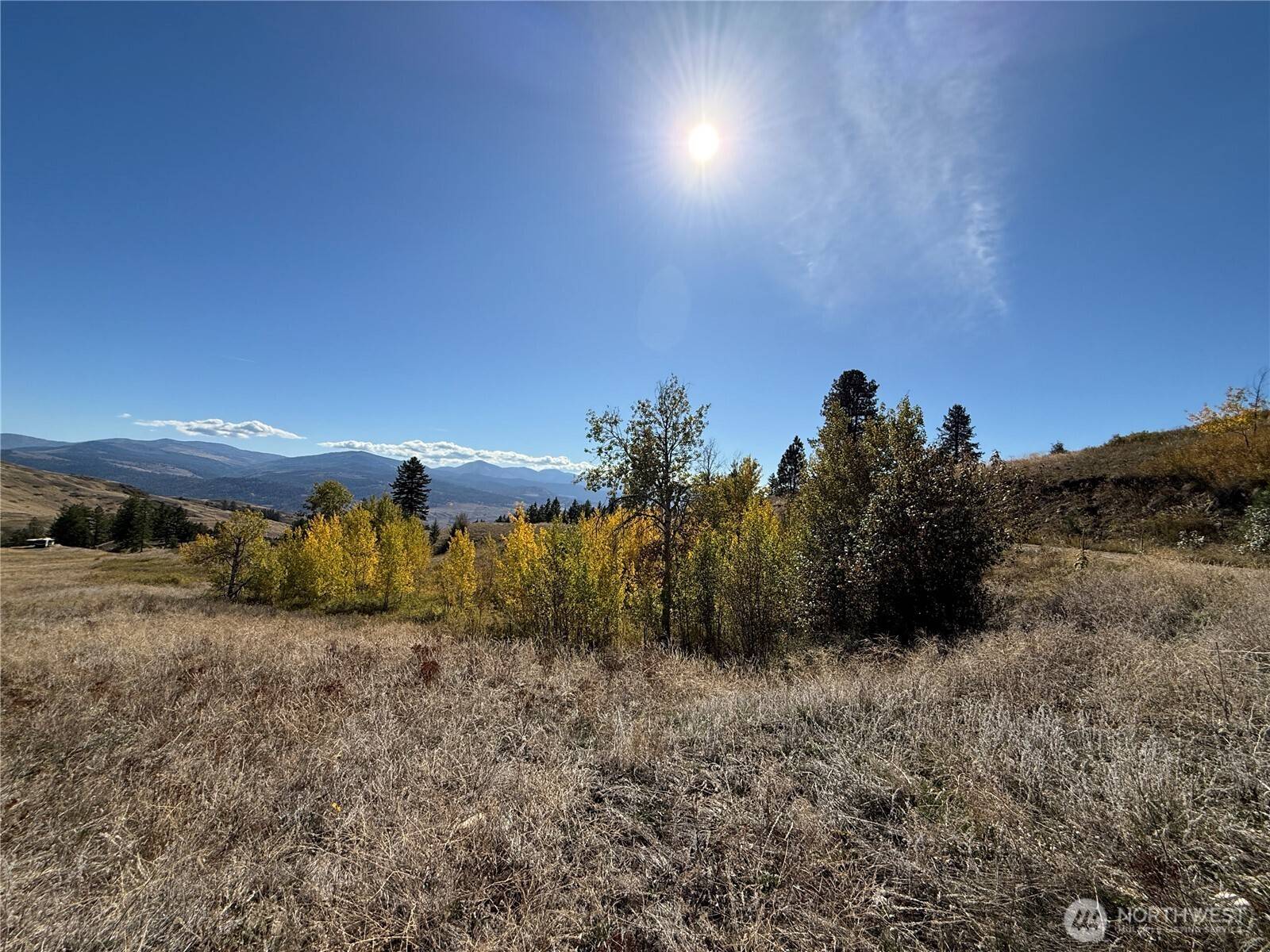 Curlew, WA 99118,0 Honeysuckle LN