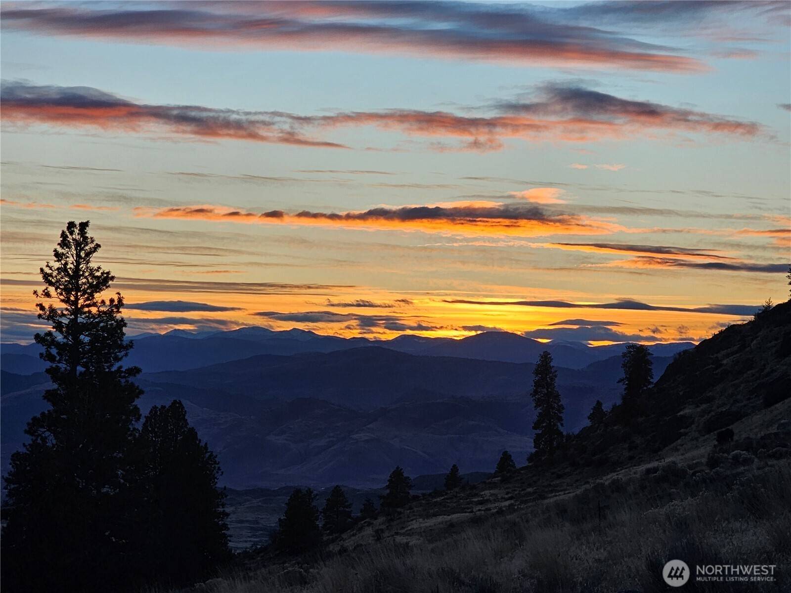 Oroville, WA 98844,0 Blue Grouse (Div 5, Lot 42)