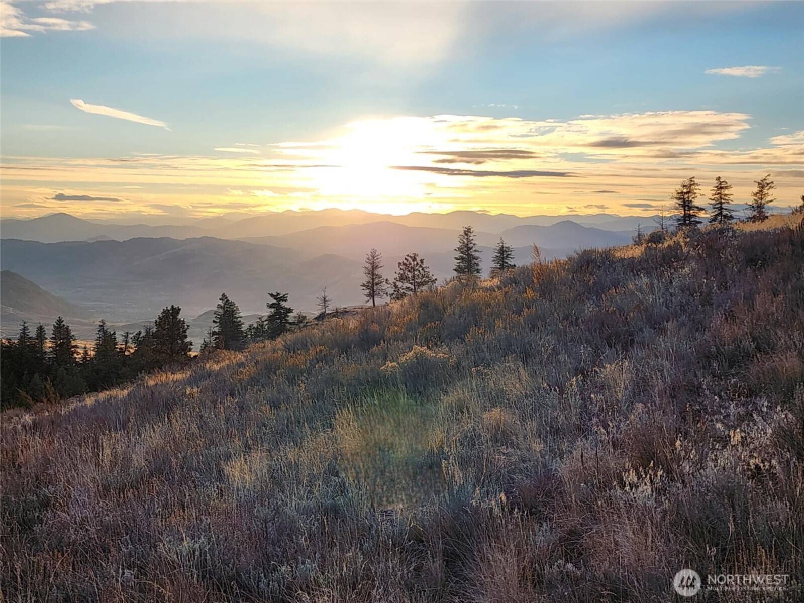 Oroville, WA 98844,0 Blue Grouse (Div 5, Lot 42)