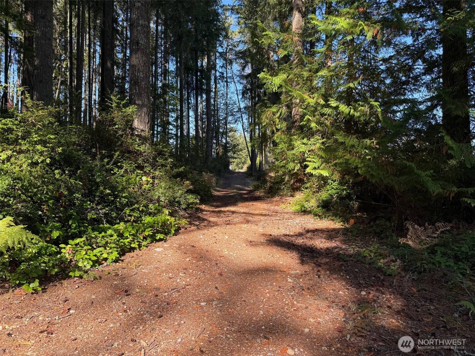 Lakebay, WA 98349,17430 27th ST SW