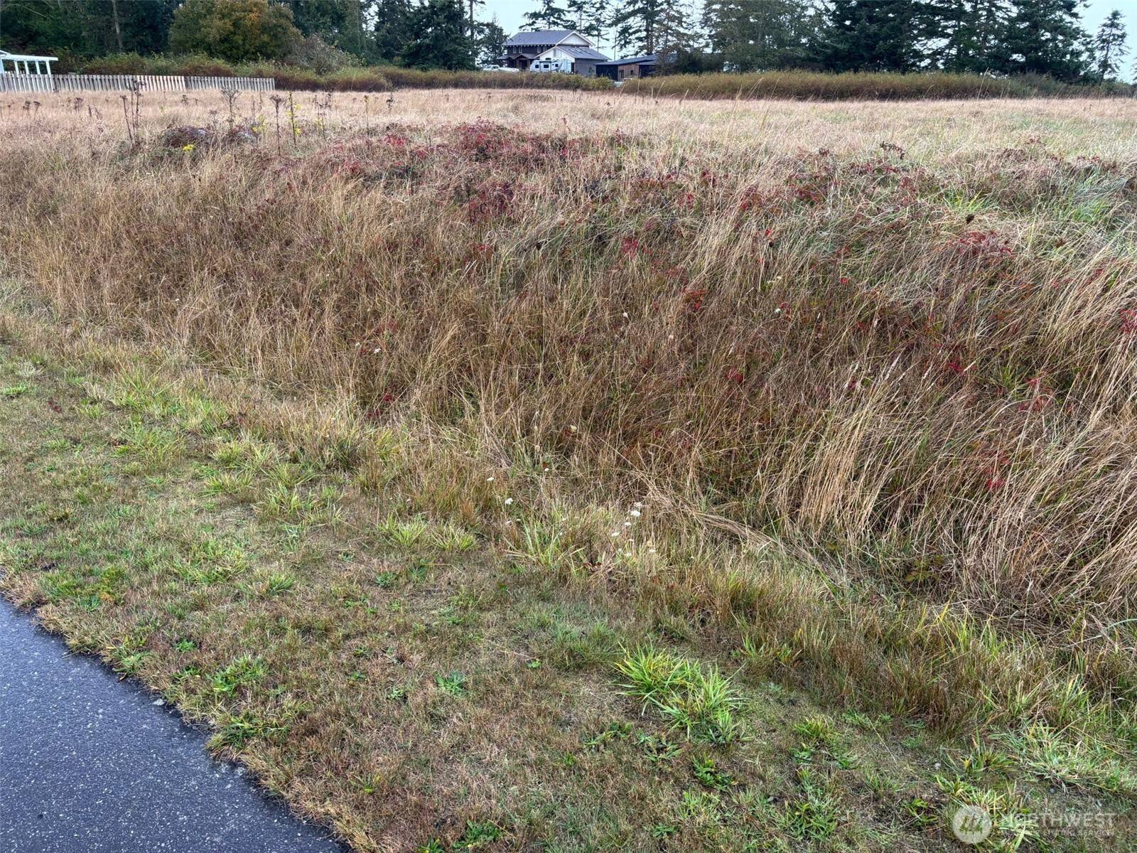 Coupeville, WA 98239,0 Monterey ST