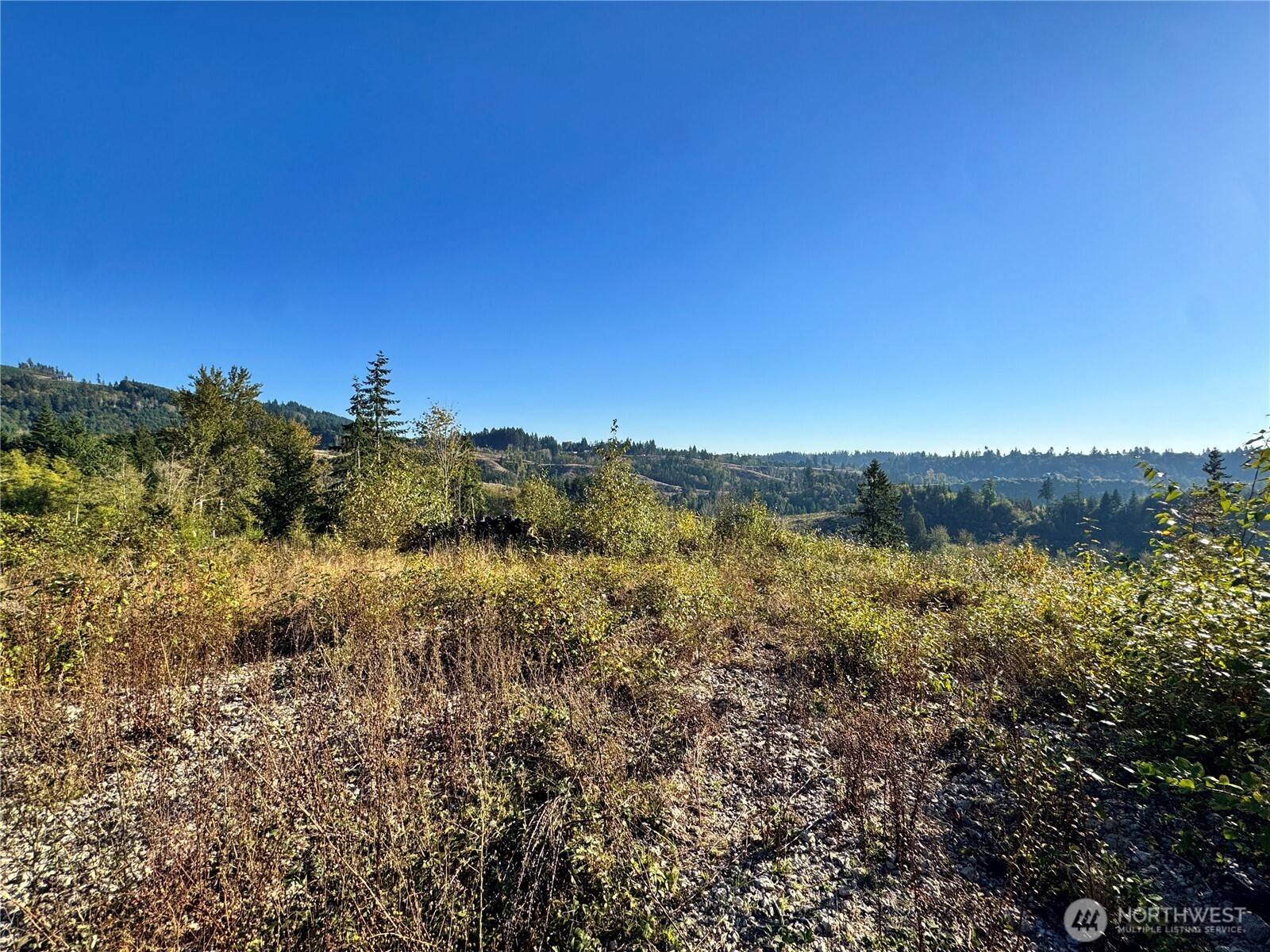 Kelso, WA 98626,0 Grace AVE