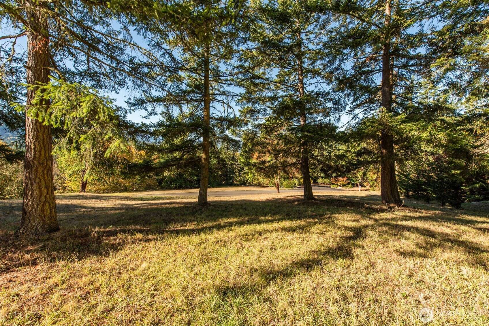 Sequim, WA 98382,1051 Fox Hollow RD