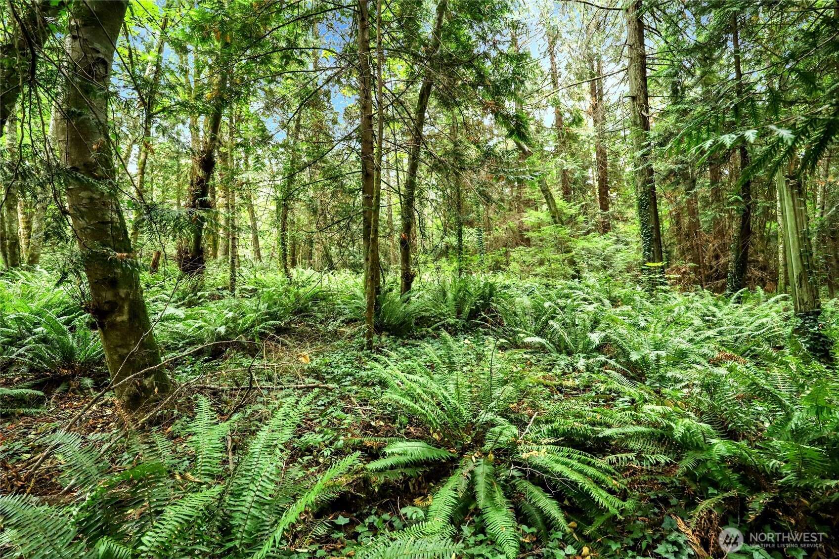 Indianola, WA 98342,0 NE Midway AVE