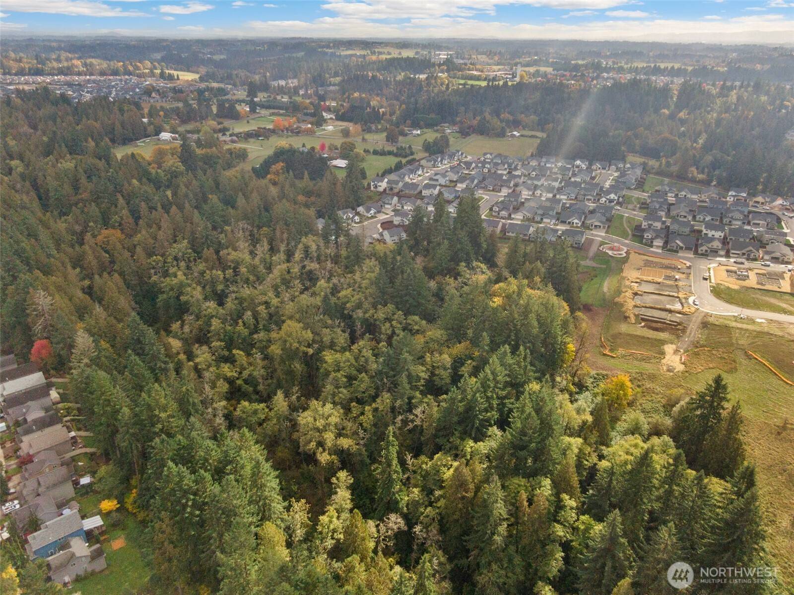 Ridgefield, WA 98642,0 S 4th DR