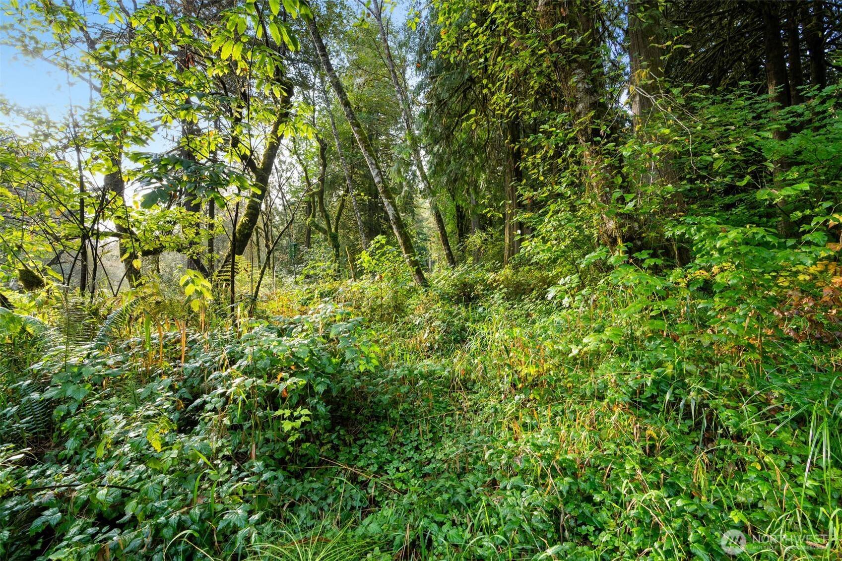 Woodland, WA 98674,0 NE Cedar Creek RD