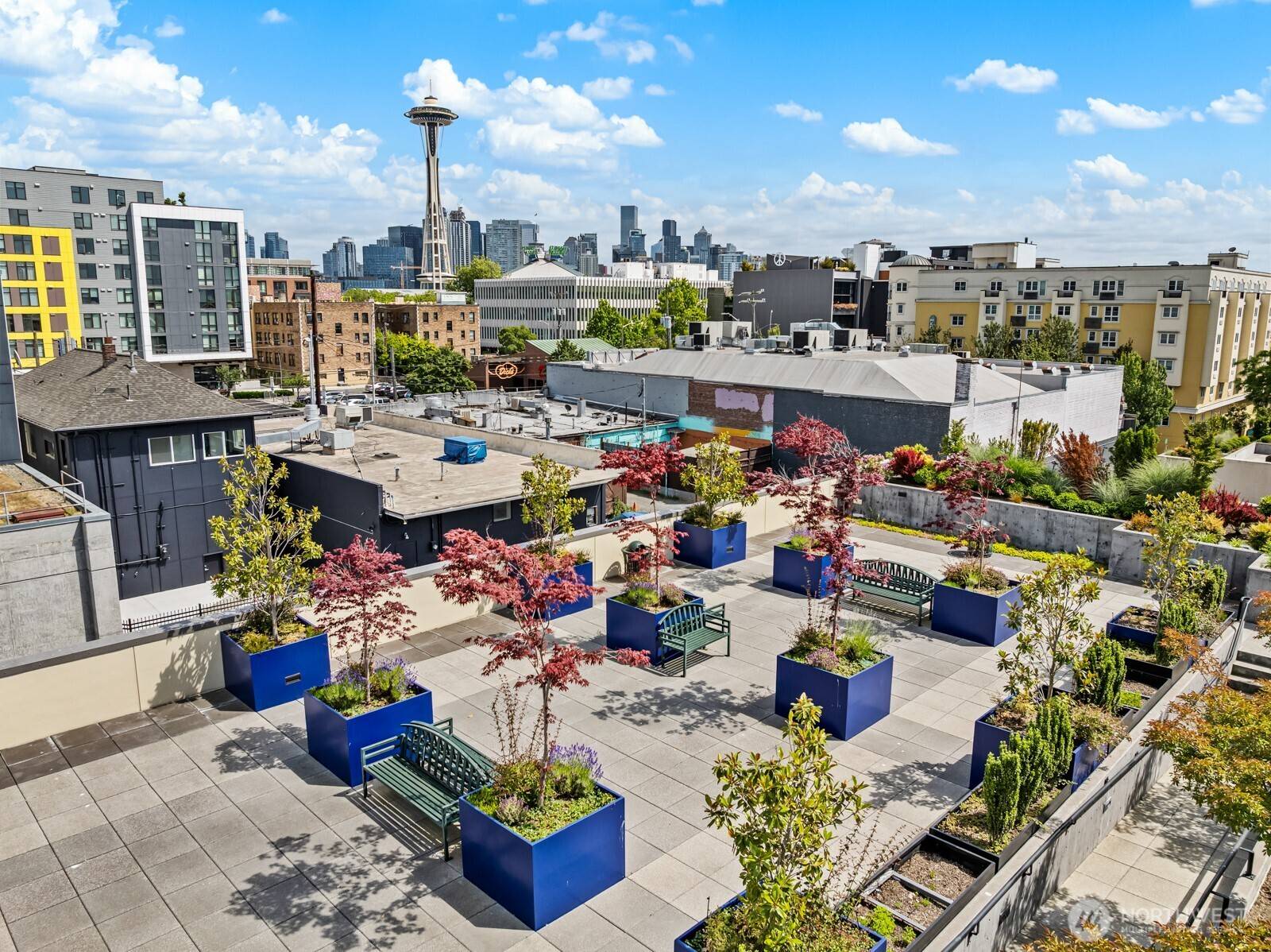 Seattle, WA 98119,17 W Mercer ST #300