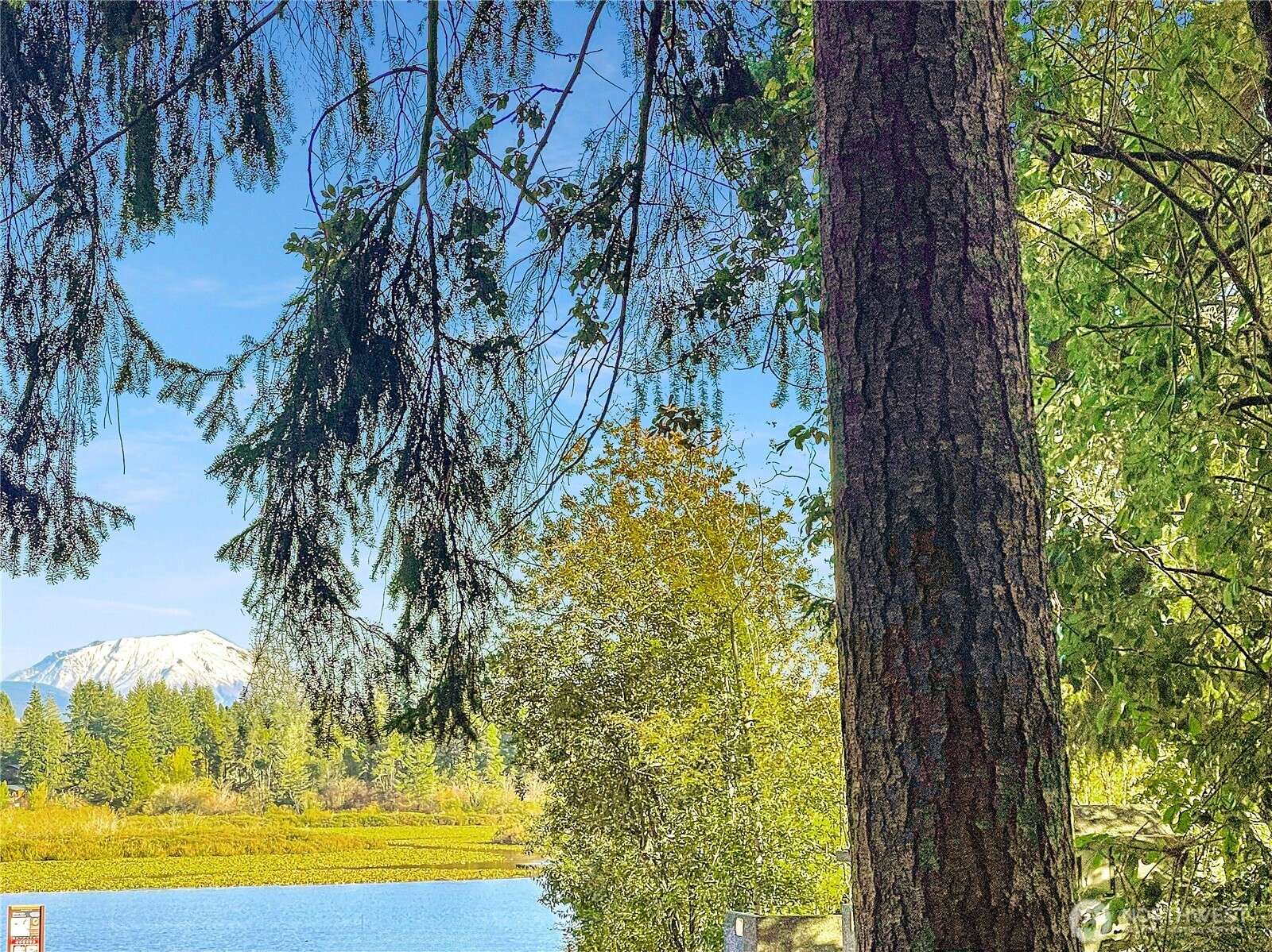 Silverlake, WA 98645,300 Kerr RD