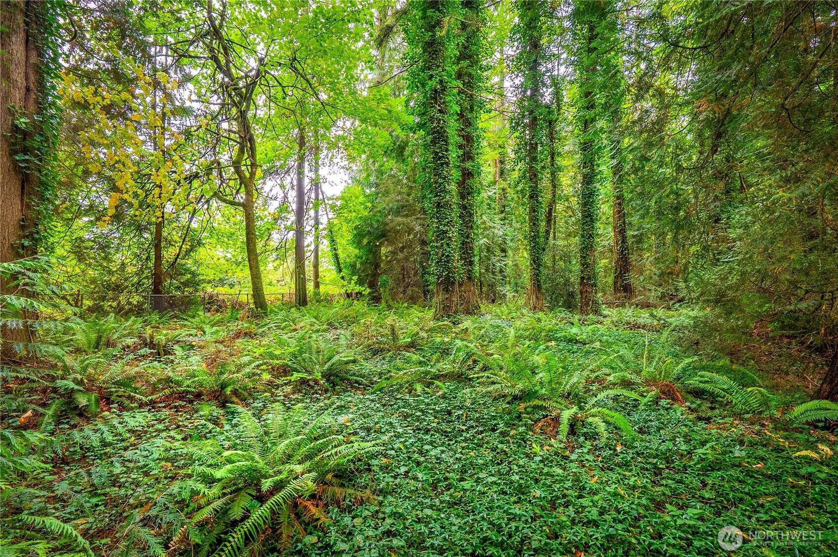 Woodinville, WA 98072,18808 152ND AVENUE NE