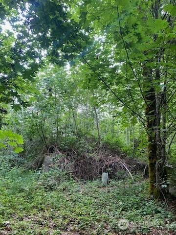 Belfair, WA 98528,9 E Nightingale PL