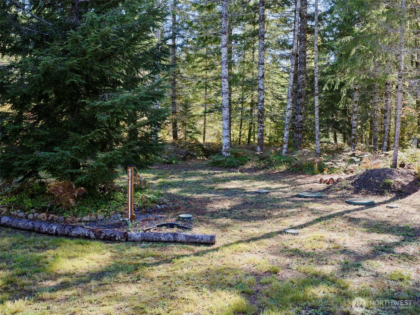 Cougar, WA 98616,2 A Lahar LN