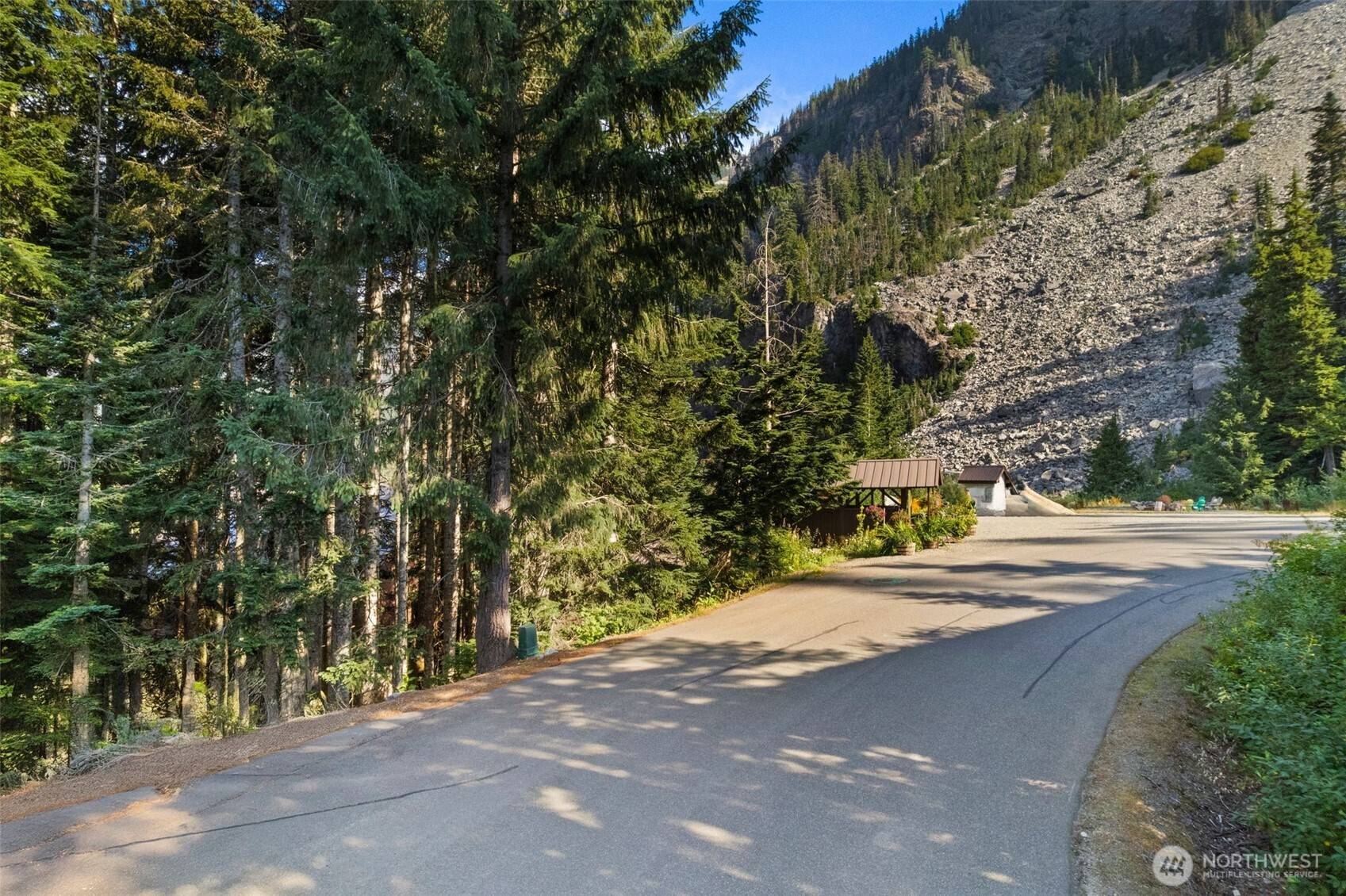 Snoqualmie Pass, WA 98068,31 Ober Strasse