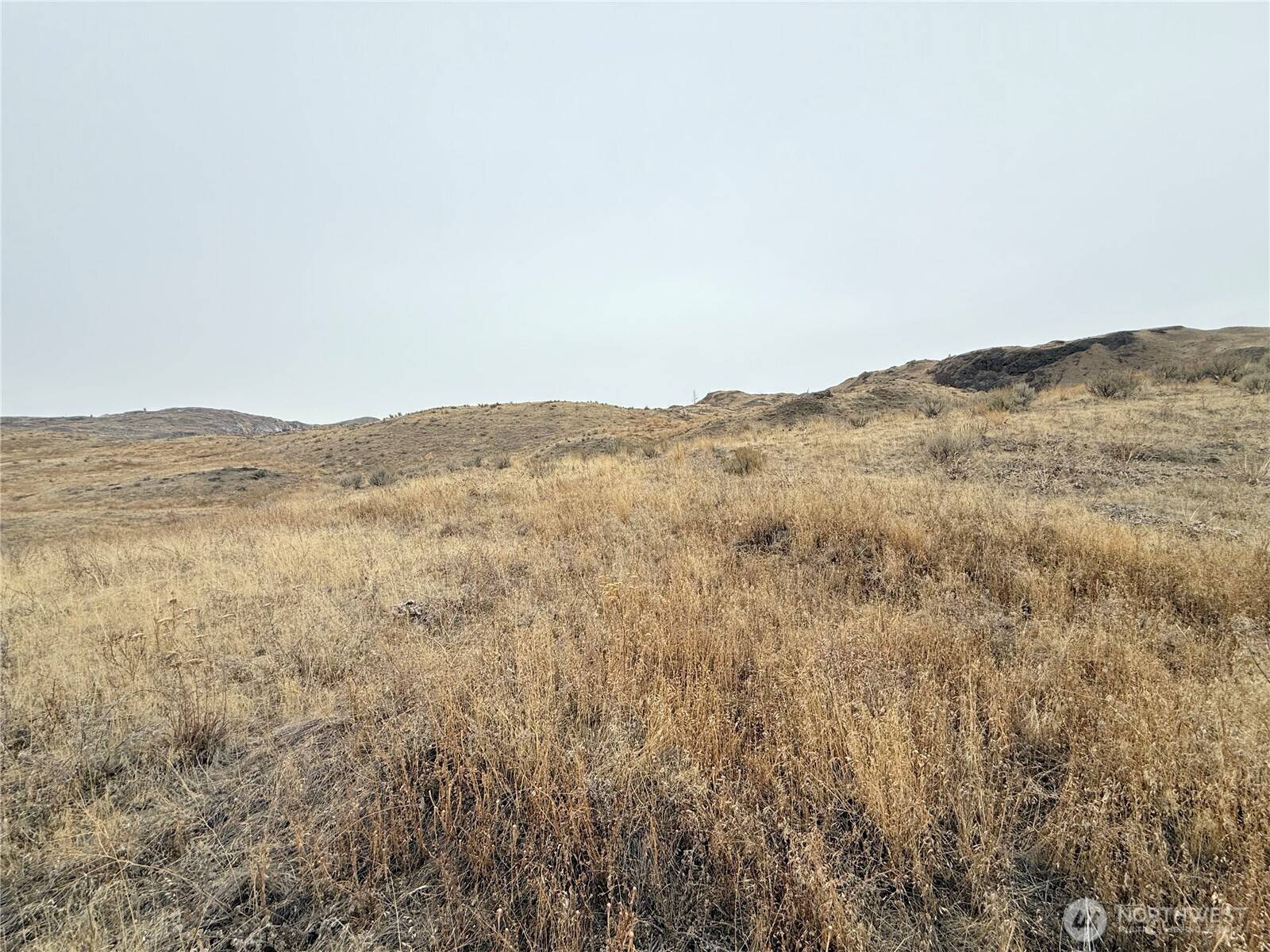 Riverside, WA 98849,161 Weatherstone Rd