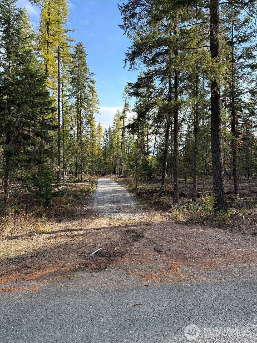 Cusick, WA 99119,51 Aurthurs BLVD