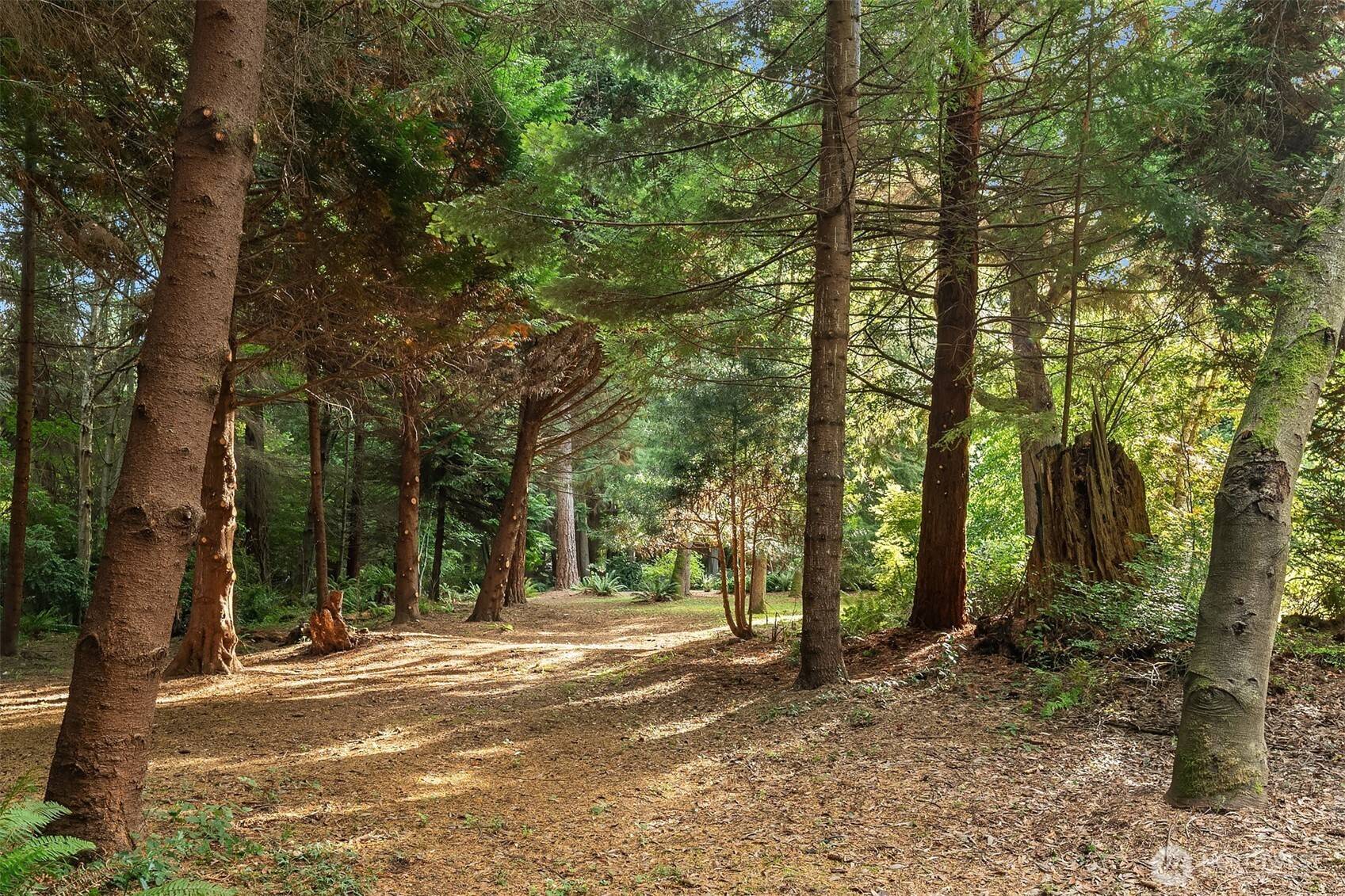 Vashon, WA 98070,27407 94th AVE SW