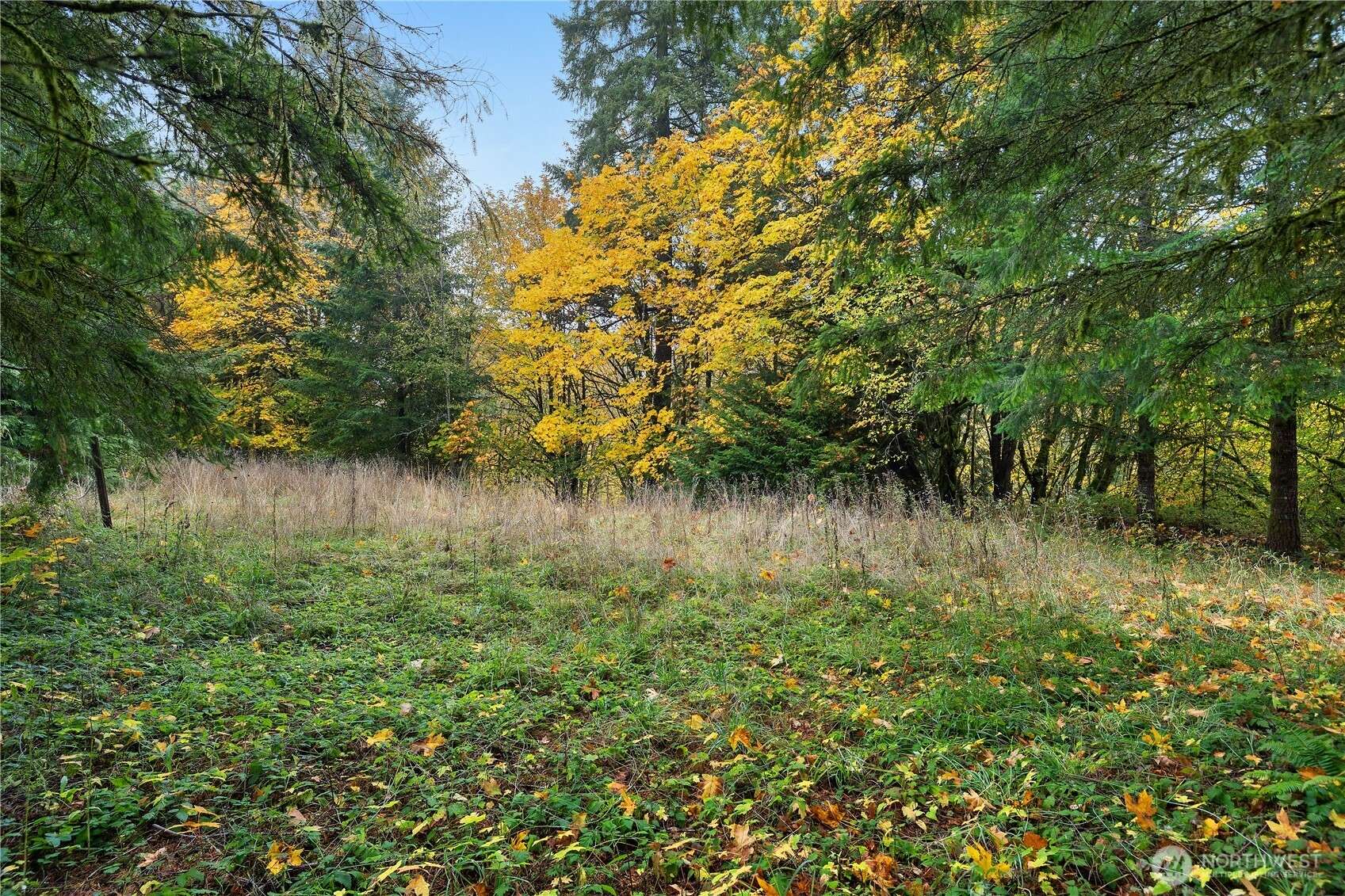 Toledo, WA 98591,504 Telegraph RD