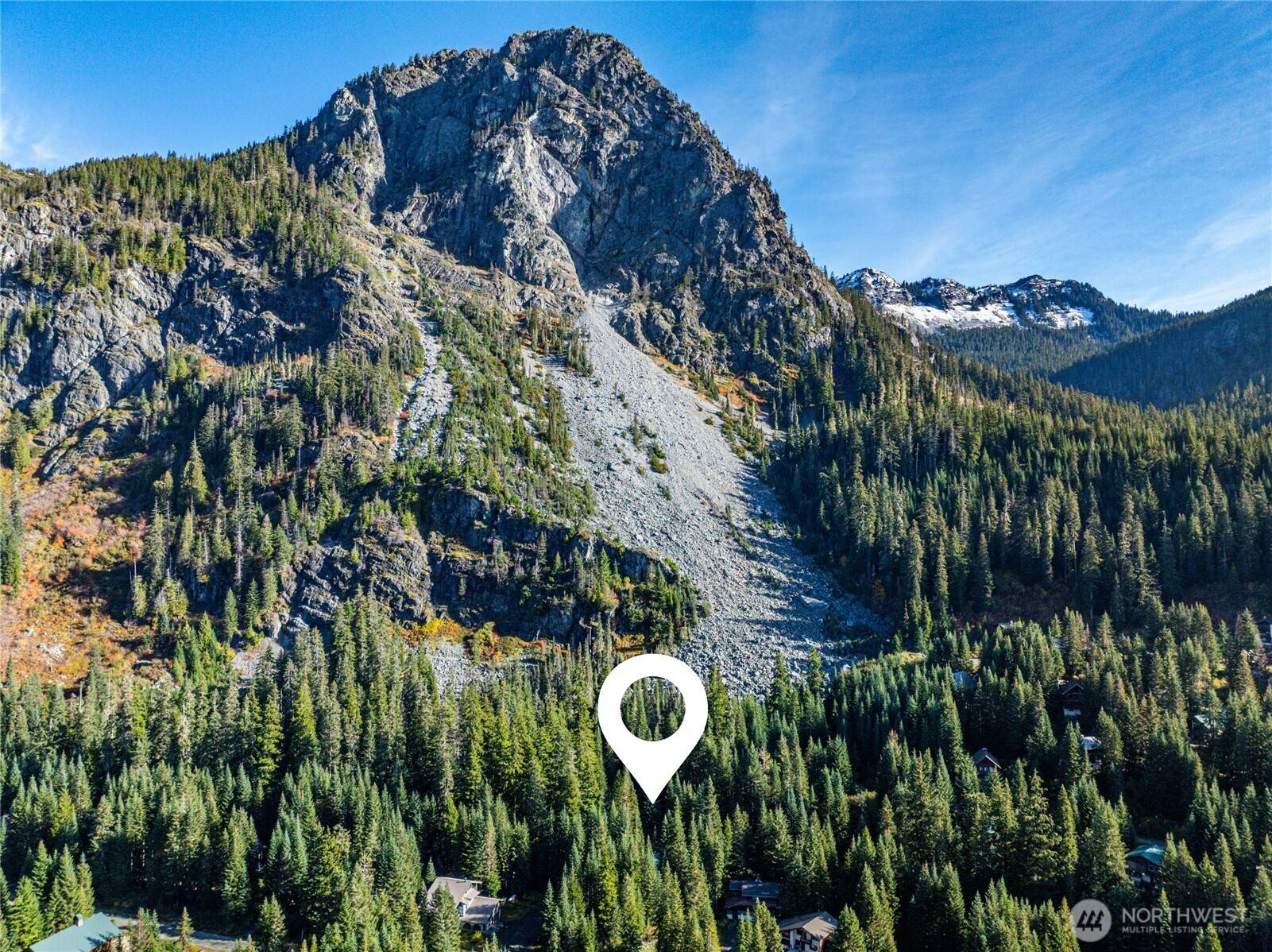 Snoqualmie Pass, WA 98068,22 Alpental ST