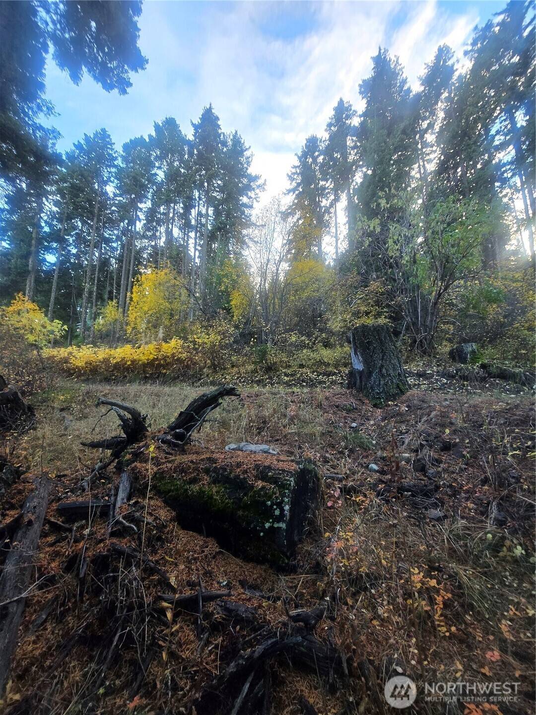 Cle Elum, WA 98922,680 Horse Heaven Rd