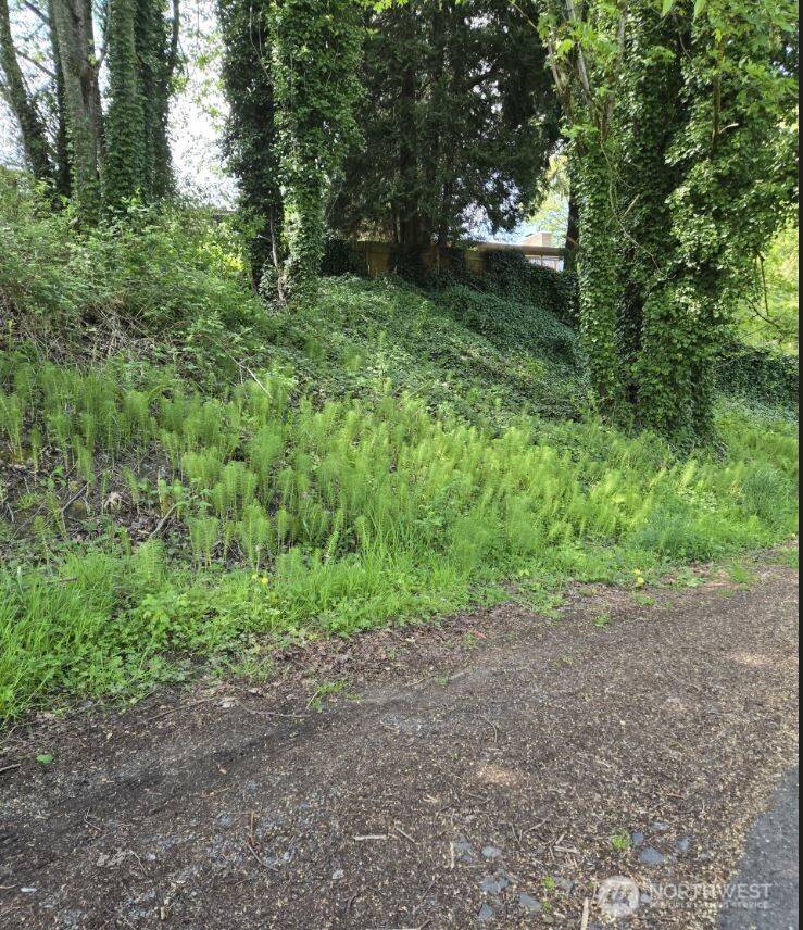 Tukwila, WA 98168,5311 Slade WAY