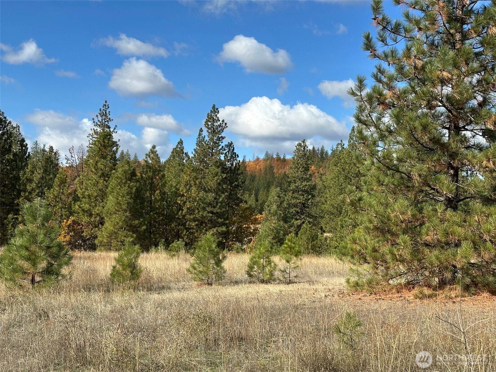 Goldendale, WA 98620,1 Garrison RD