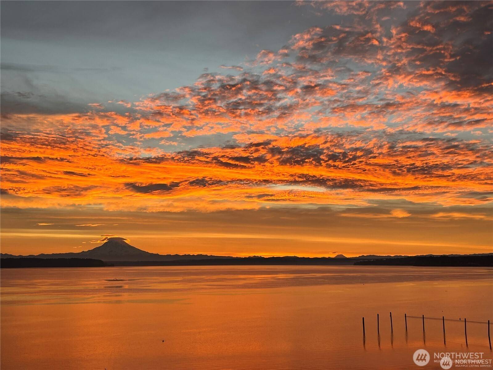 Olympia, WA 98516,8210 Walnut RD NE