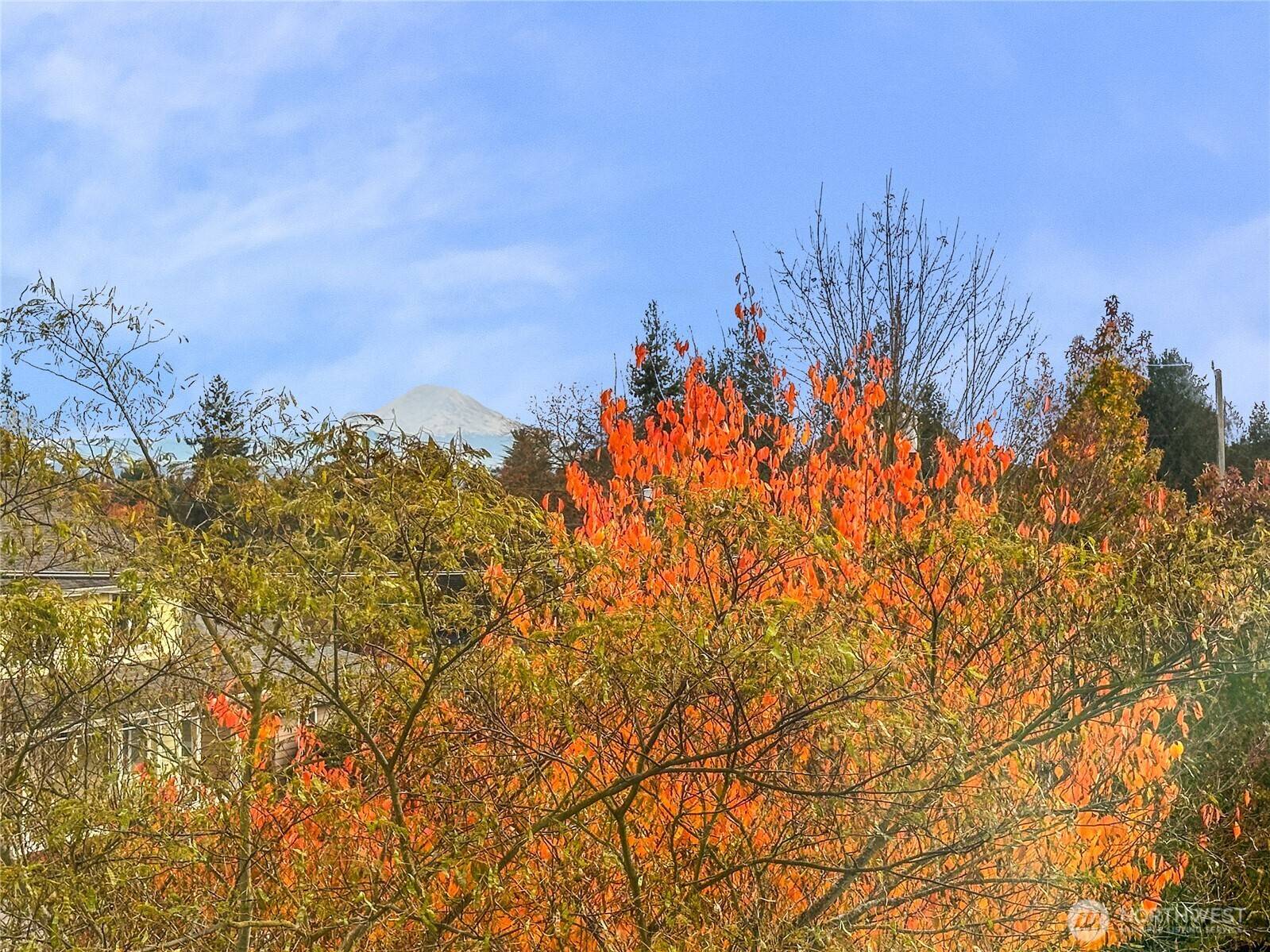 Seattle, WA 98133,12037 Fremont AVE N #1 & 2