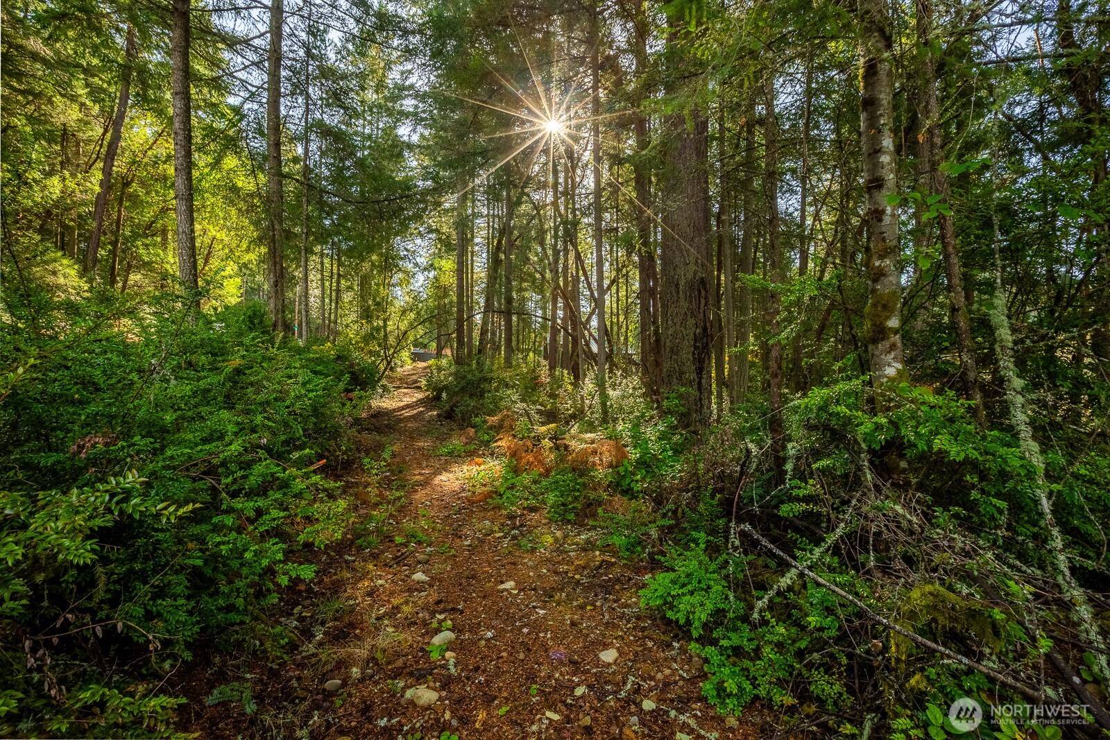 Anderson Island, WA 98303,11104 Matthews WAY