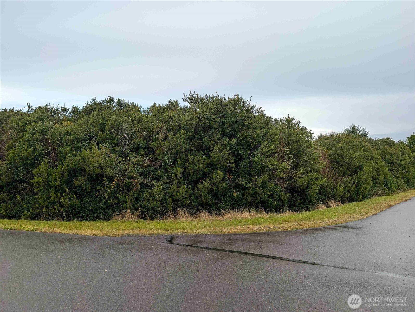 Ocean Shores, WA 98569,430 -446 Salina Cruz AVE