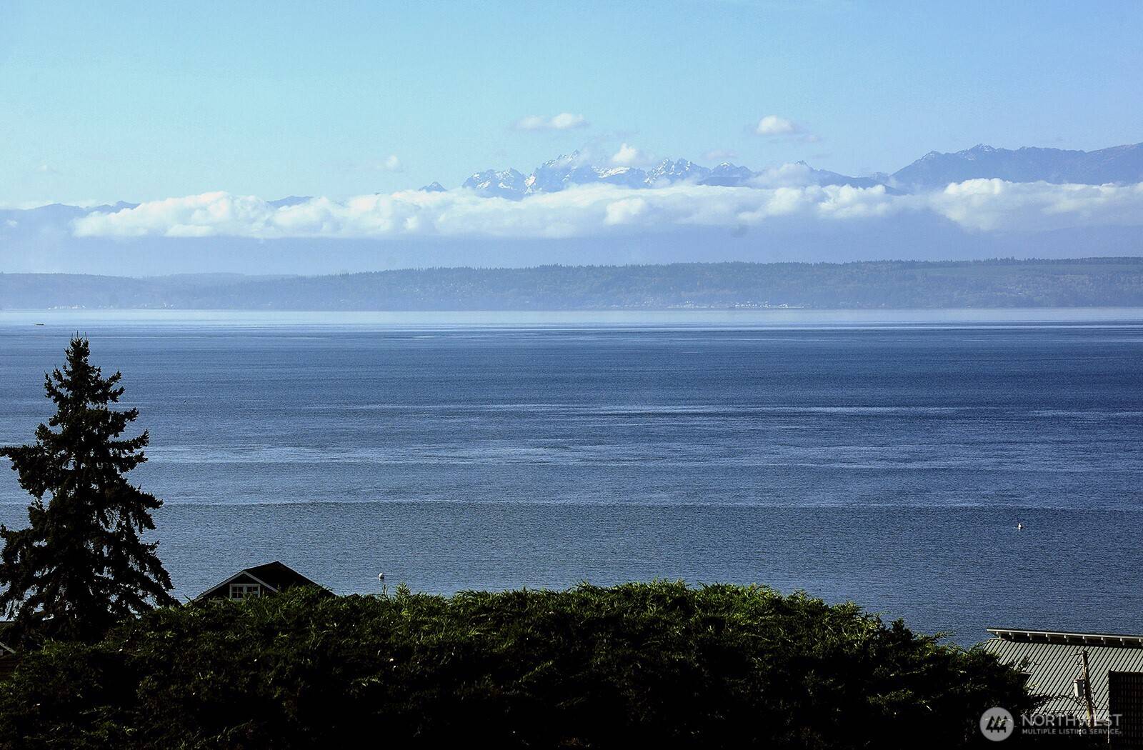 Freeland, WA 98249,1411 Manor WAY