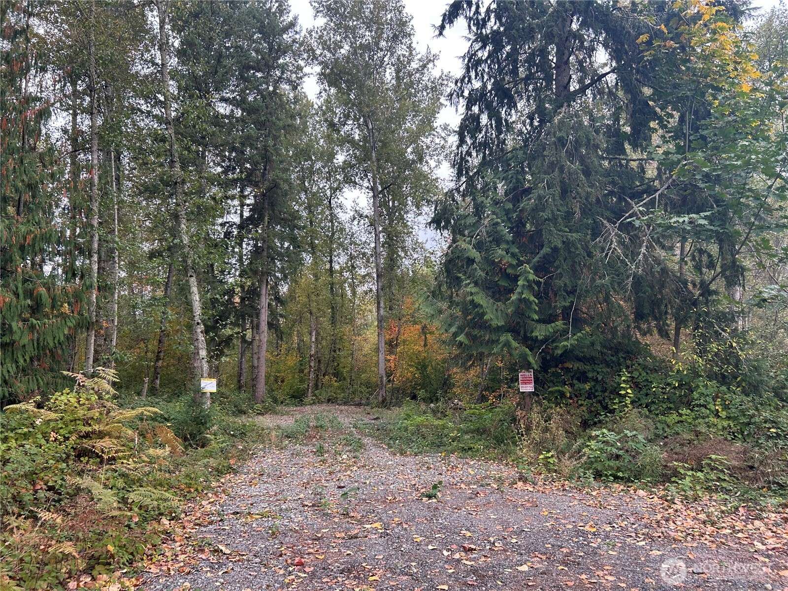 Buckley, WA 98321,10604 258th Ave E