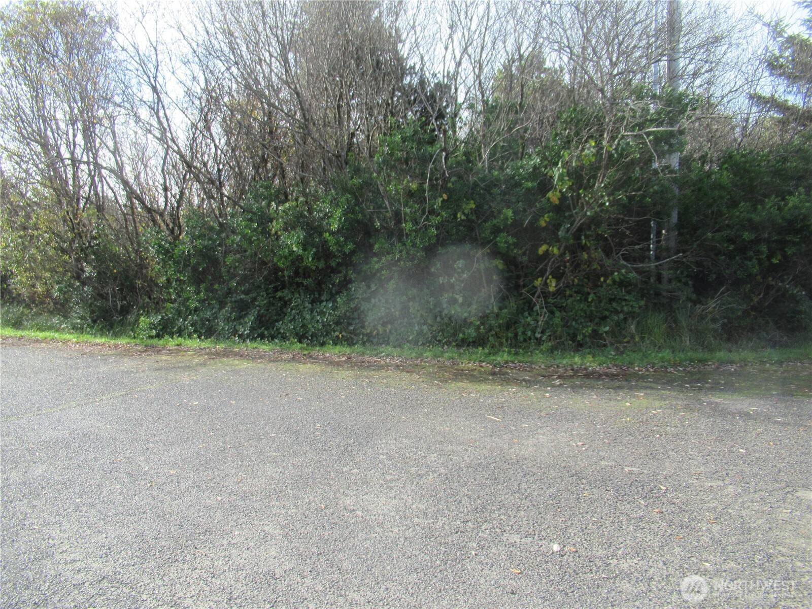 Ocean Shores, WA 98569,16 Driftwood DR