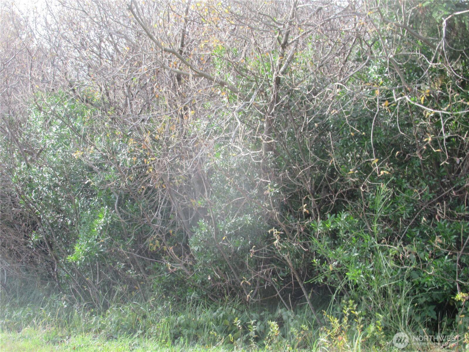 Ocean Shores, WA 98569,16 Driftwood DR