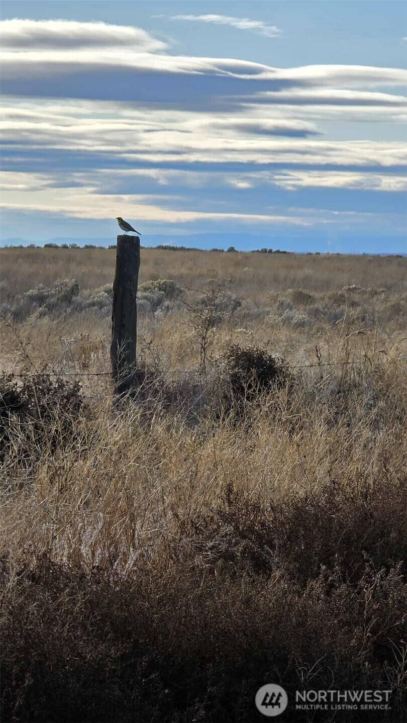 Wilson Creek, WA 98860,256 Eagle Springs Ranch