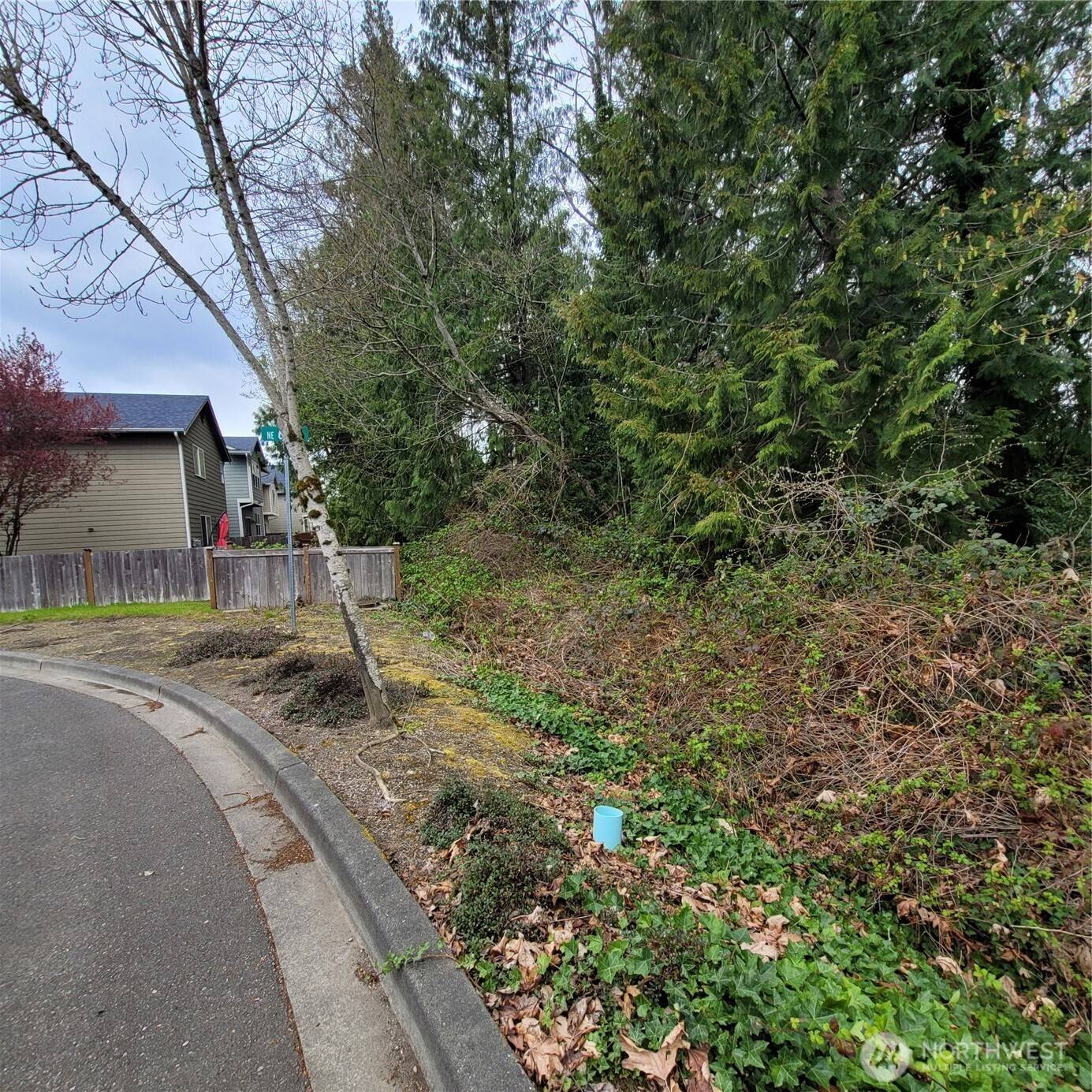 Renton, WA 98059,601 Jericho AVE NE