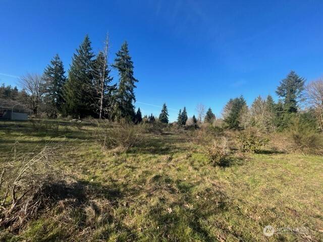 Tumwater, WA 98501,916 73rd AVE SE