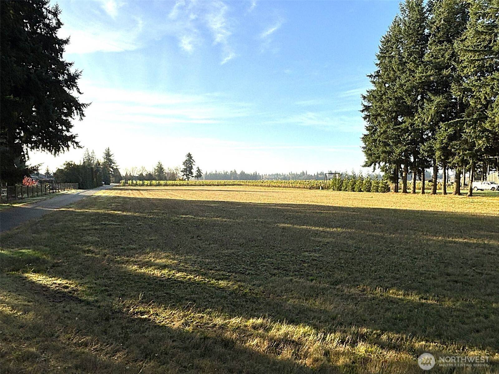Lynden, WA 98264,0 Loomis Trail Rd