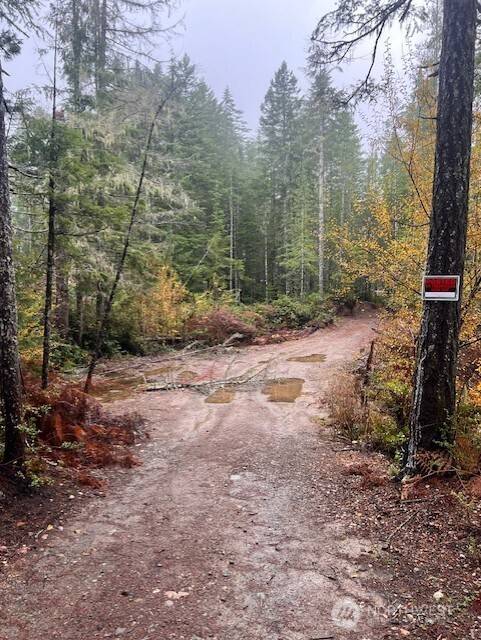 Belfair, WA 98528,0 Tract 15 Dewatto Hills RD